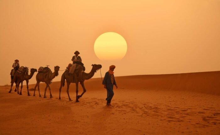 2 Night Desert Tour