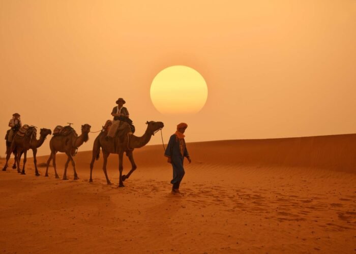 2 Night Desert Tour