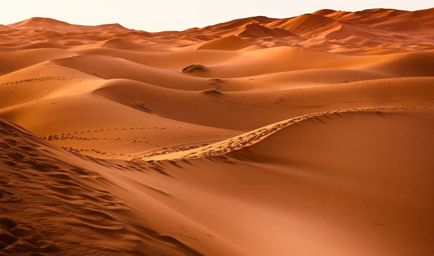 10 Days Tour From Casablanca And Back