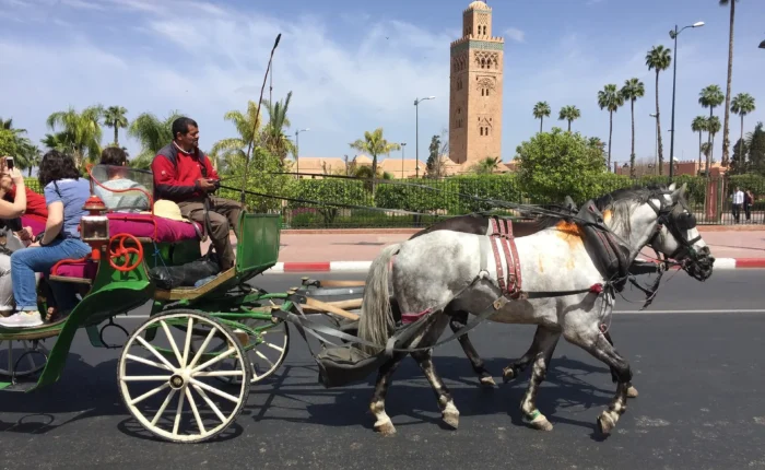10 Days Trip From Marrakech