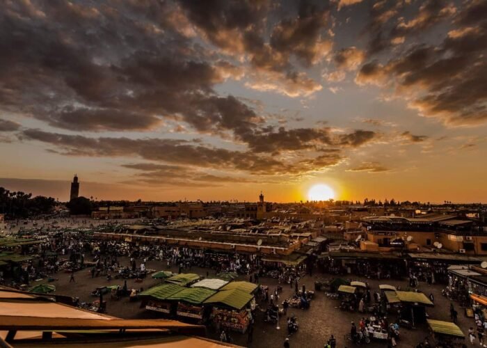 11 Days From Casablanca