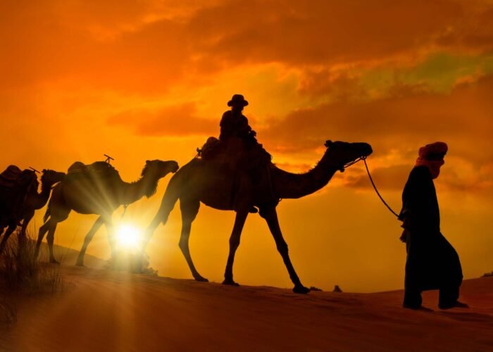 15 Days Tour from Tangier
