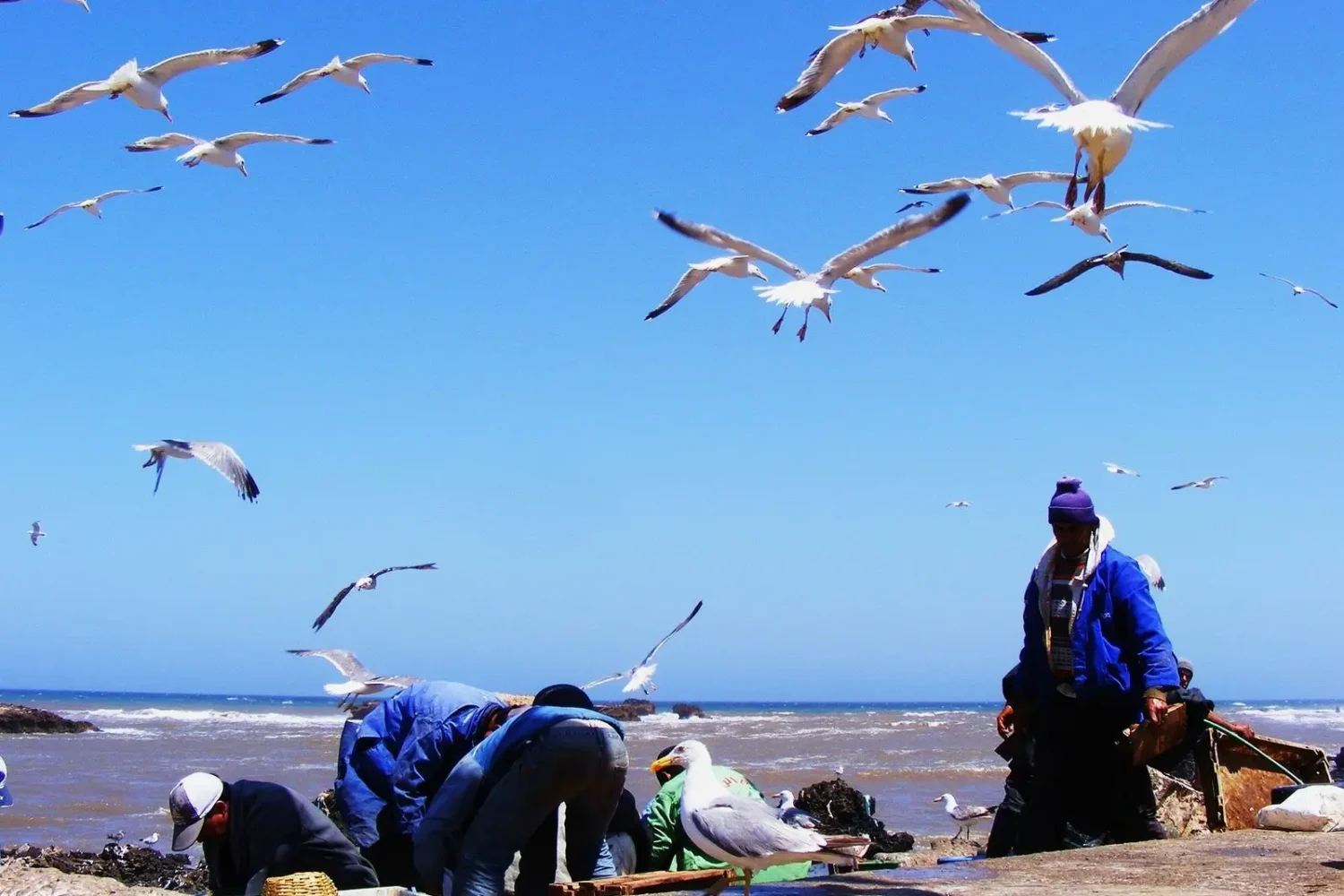 15 Days Tour from Tangier And Back