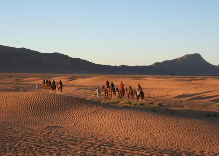 2 Days Tour From Marrakech To Zagora