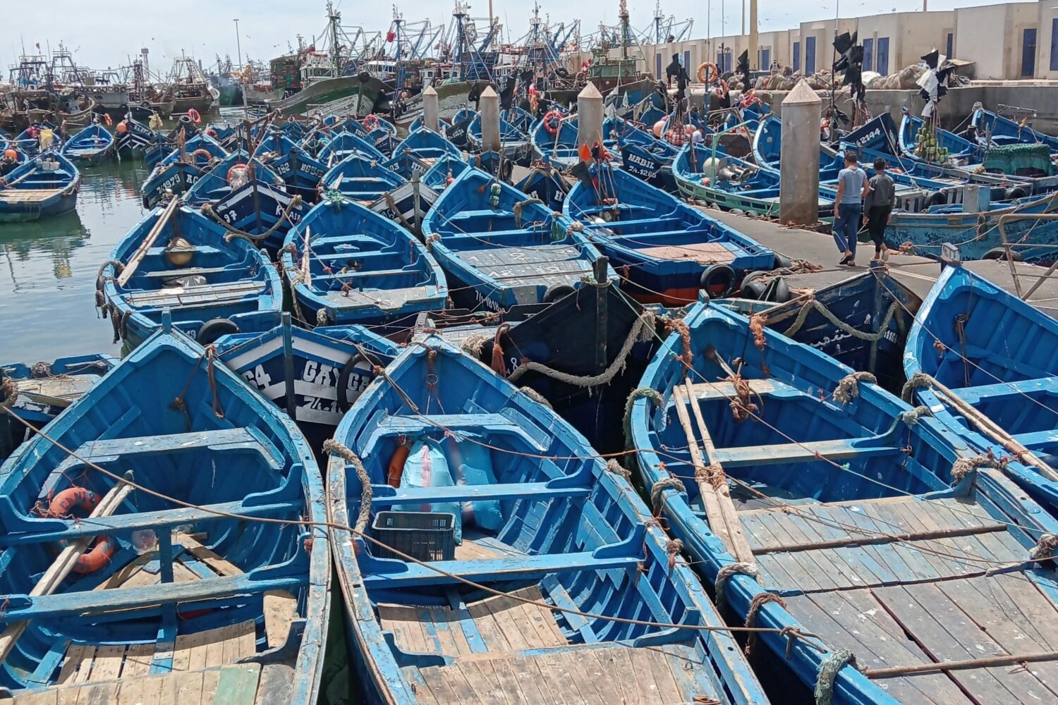 2 Weeks Trip In Morocco From Casablanca