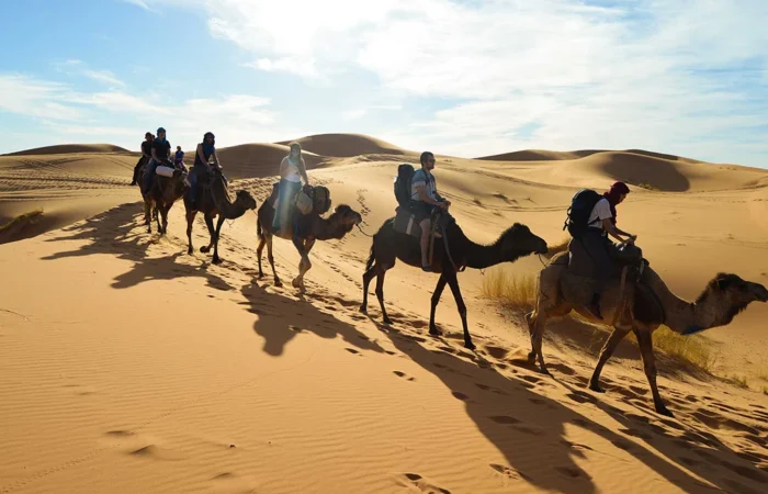 3 Days Desert Tour From Fes To Marrakech