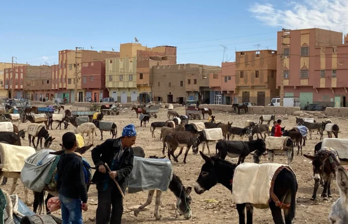 4 Days Tour From Errachidia To Marrakech
