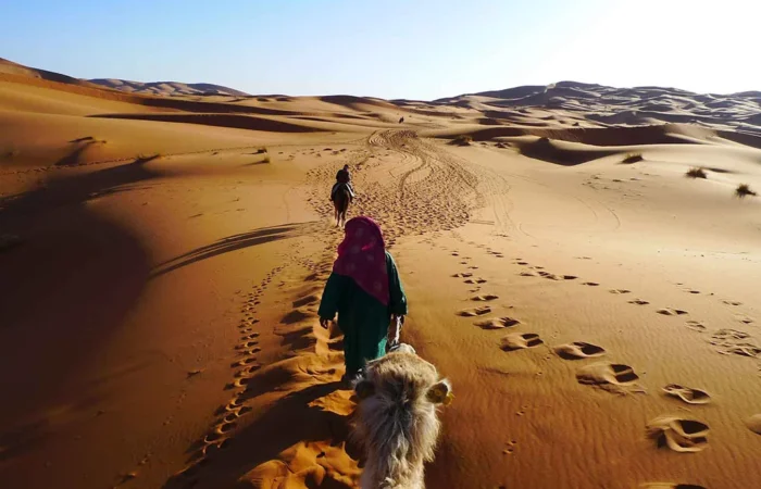 camel ride