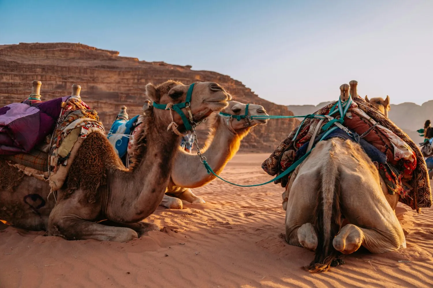 5 Days Desert Tou From Marrakech To Fes