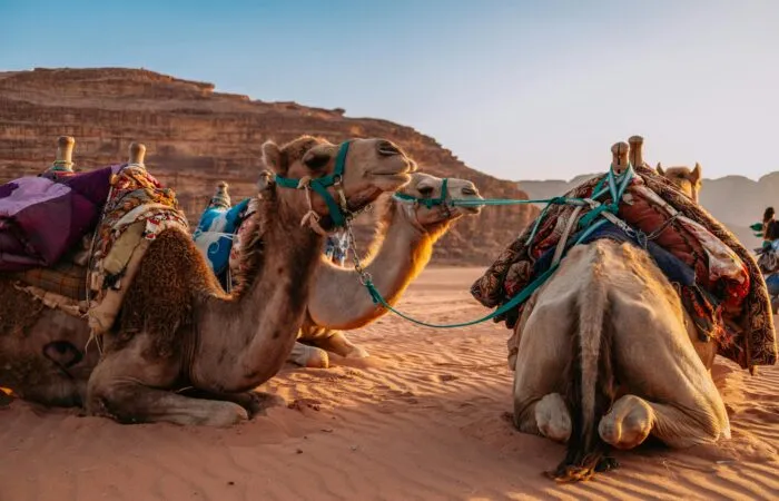 5 Days Desert Tou From Marrakech To Fes