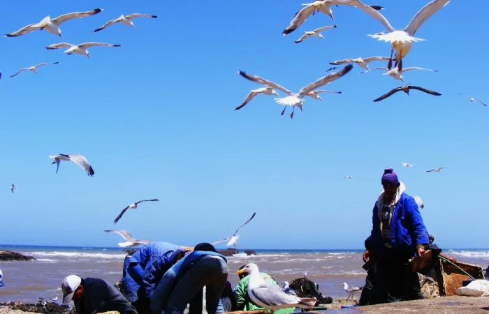 7 Days Morocco Tour From Marrakech