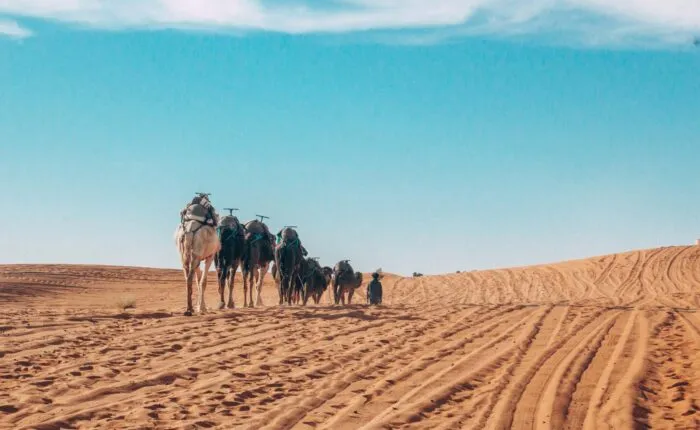 8 Day sahara tour from Marrakech