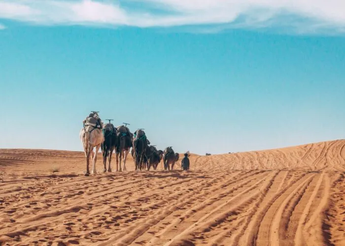 8 Day sahara tour from Marrakech