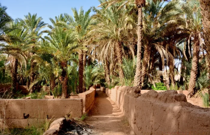 Draa valley