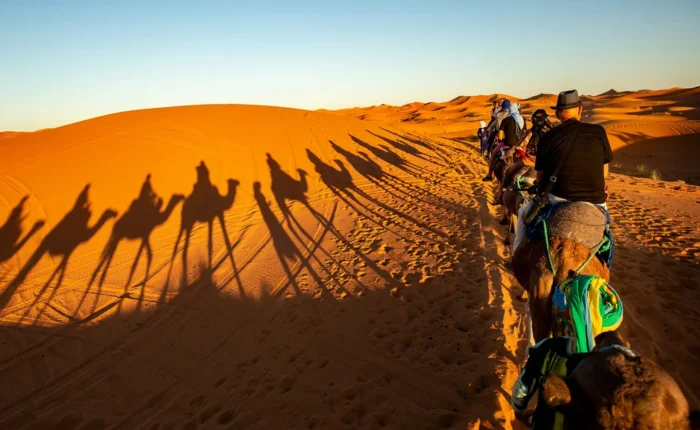 Activitie Fes to Marrakech via Sahara 3 days