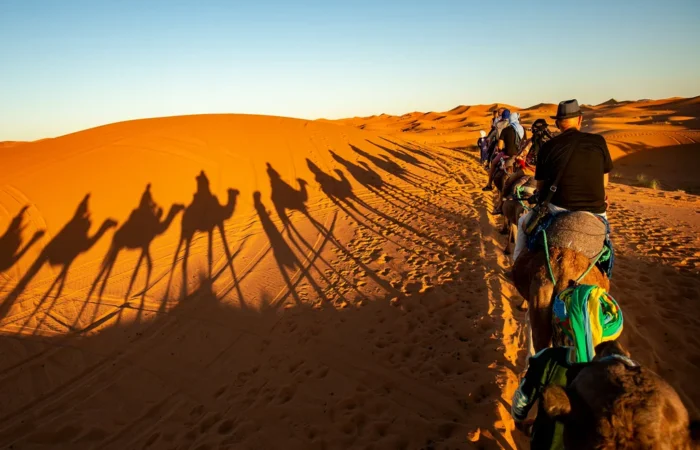 Activitie Fes to Marrakech via Sahara 3 days