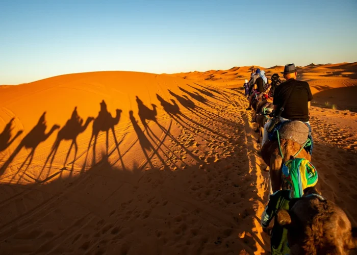 Activitie Fes to Marrakech via Sahara 3 days