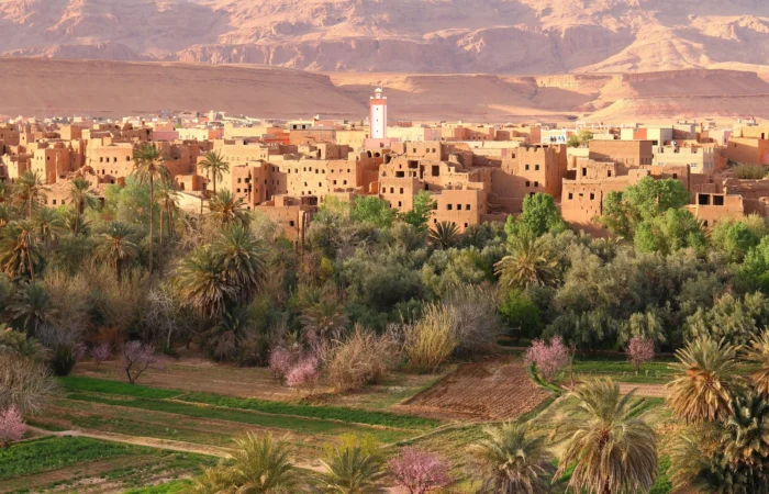 Activitie Fes to Marrakech via Sahara 3 days