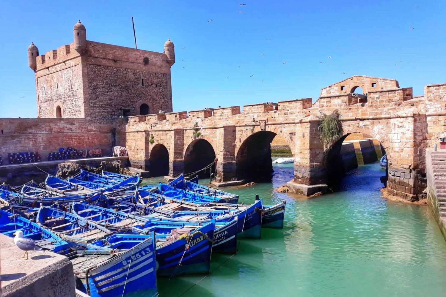  Marrakech To Essaouira Day Trip