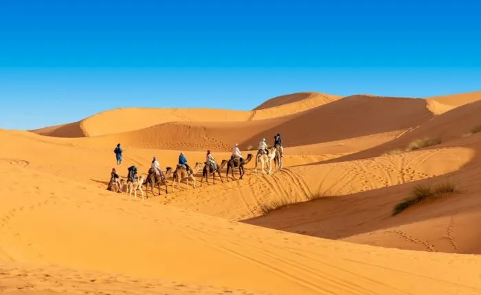 camel ride