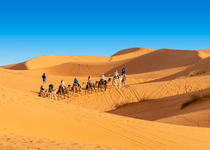 camel ride