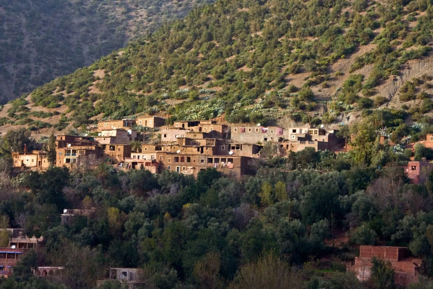 Ourika Valley Day Trip