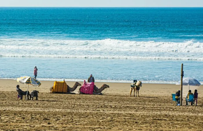 Agadir beach
