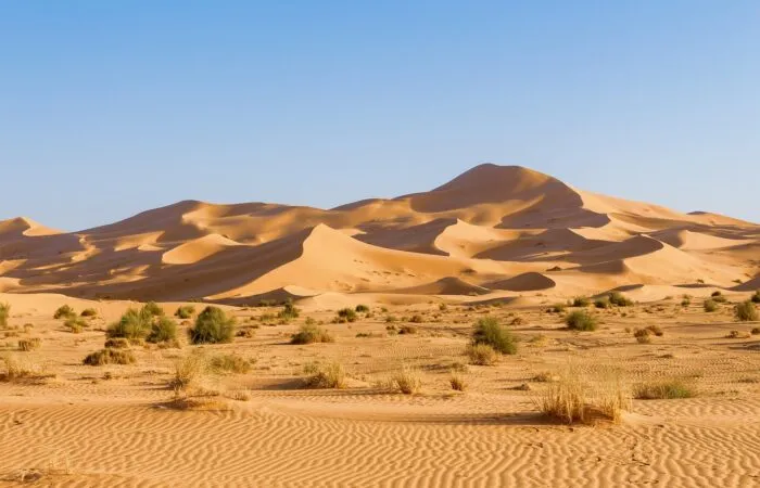 Erg Chebbi