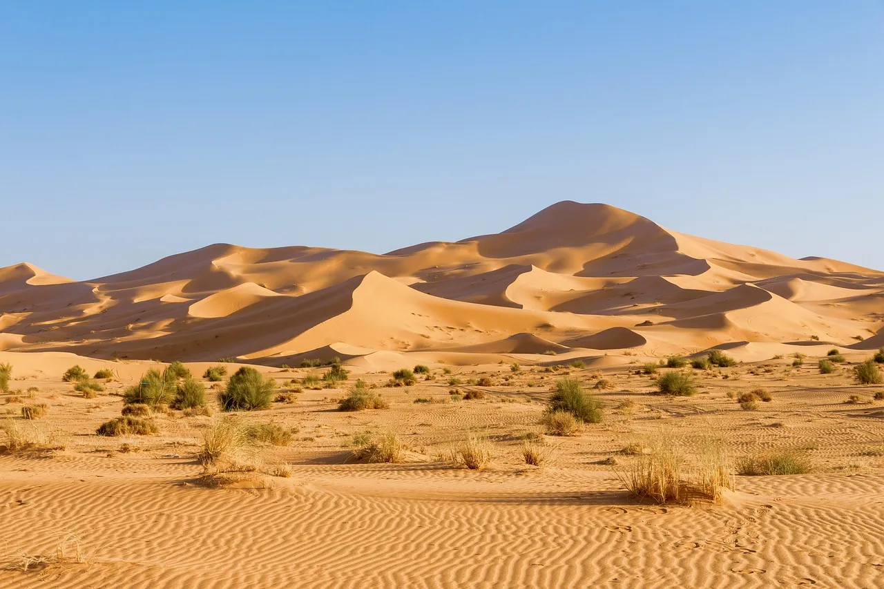 Erg Chebbi