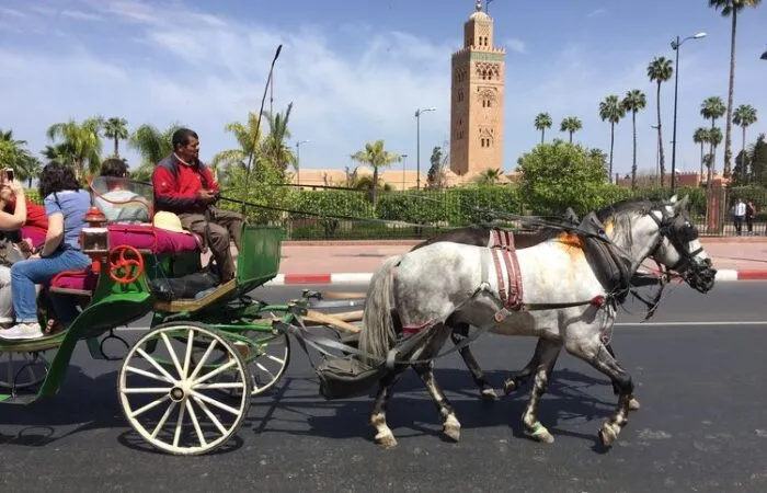 15 Days Marrakech to Tangier tour