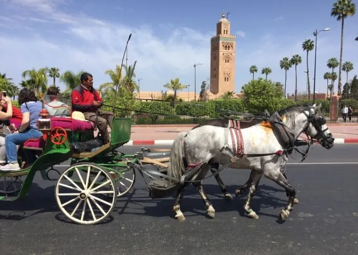 15 Days Marrakech to Tangier tour