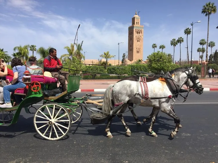 15 Days Marrakech to Tangier tour