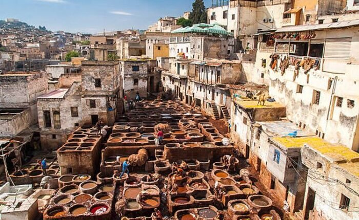 Fes Tanneries