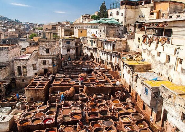 Fes Tanneries