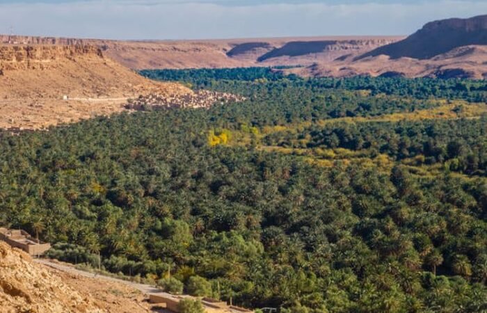 Ziz Valley