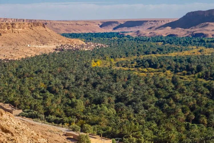 Ziz Valley