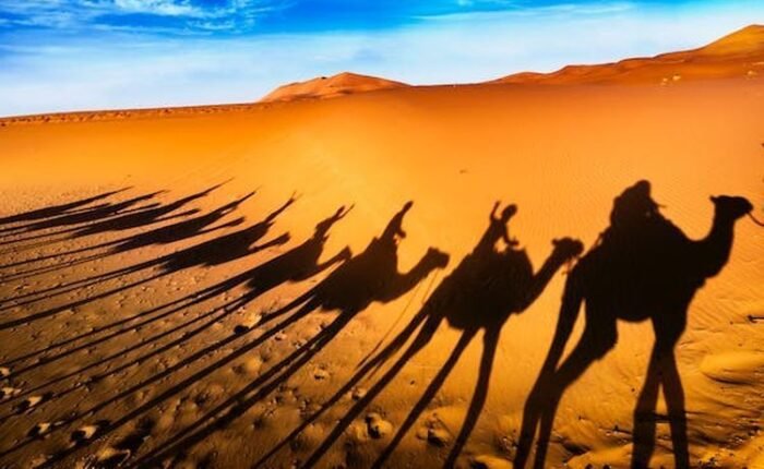 Sahara