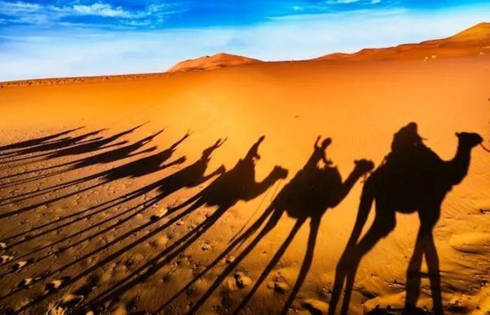 8 Days Tangier to Casablanca tour
