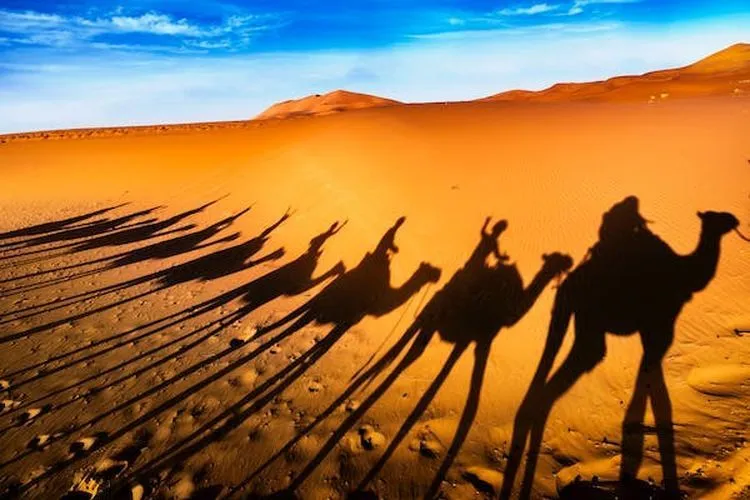 8 Days Tangier to Casablanca tour