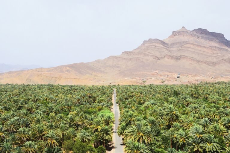 Top 15 Places to Visit in Morocco Top 15 Places to Visit in Morocco