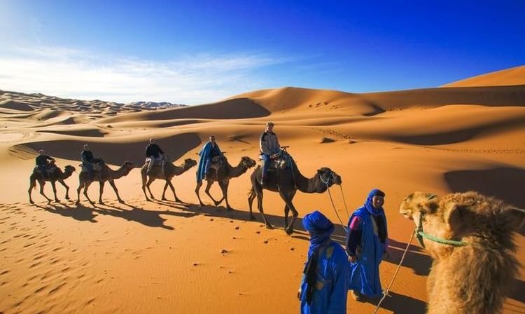 Camel Ride in Morocco