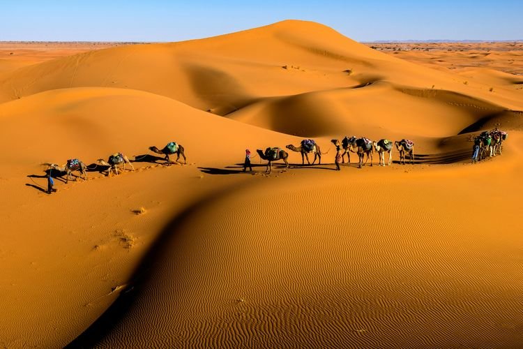 Trekking in Morocco