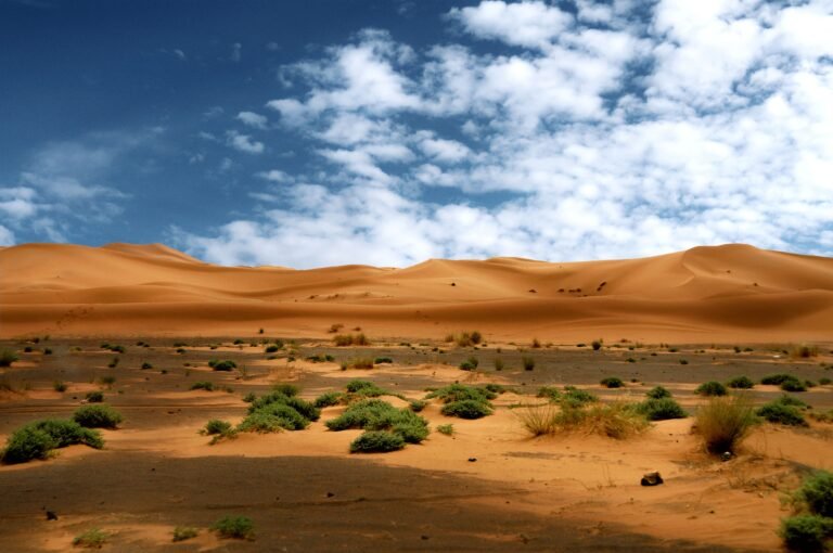 Sahara Desert Tours Sahara Desert Tours
