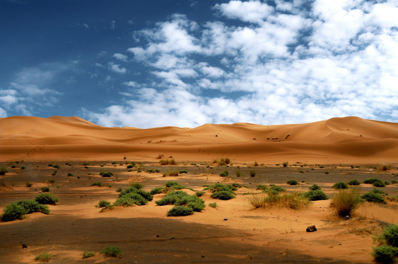 Sahara Desert Tours